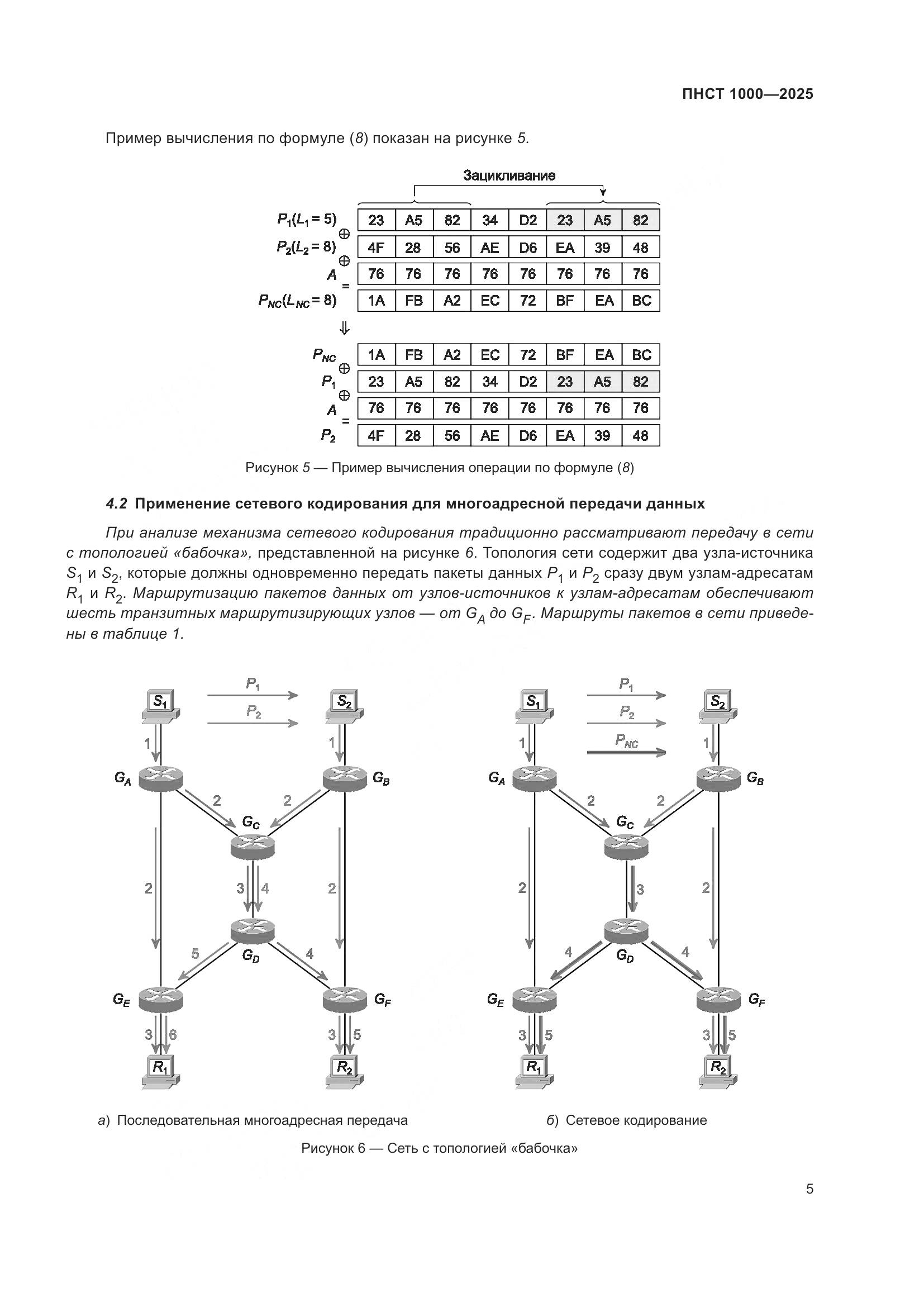 ПНСТ 1000-2025, страница 9