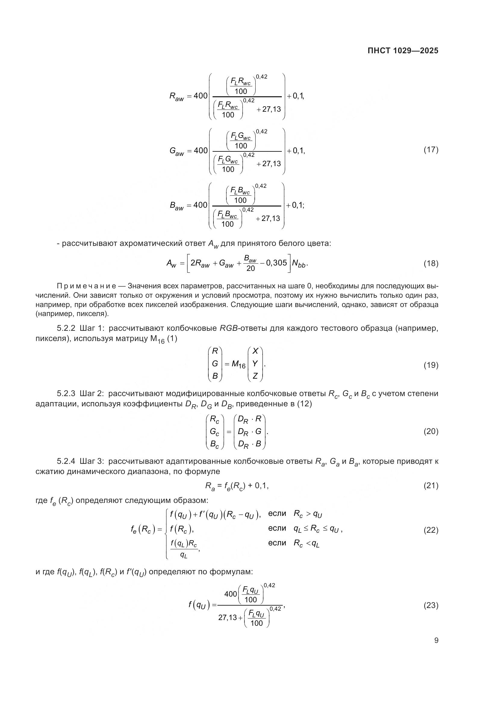 ПНСТ 1029-2025, страница 13