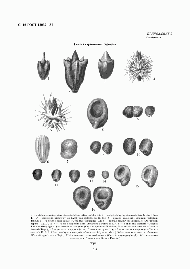 ГОСТ 12037-81, страница 16