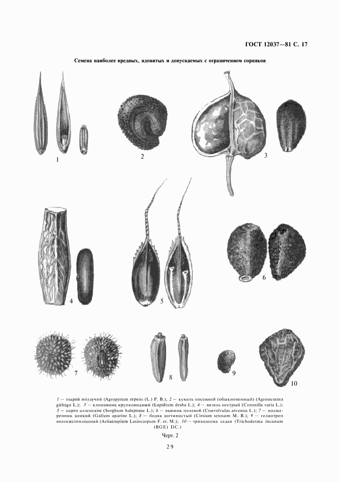 ГОСТ 12037-81, страница 17