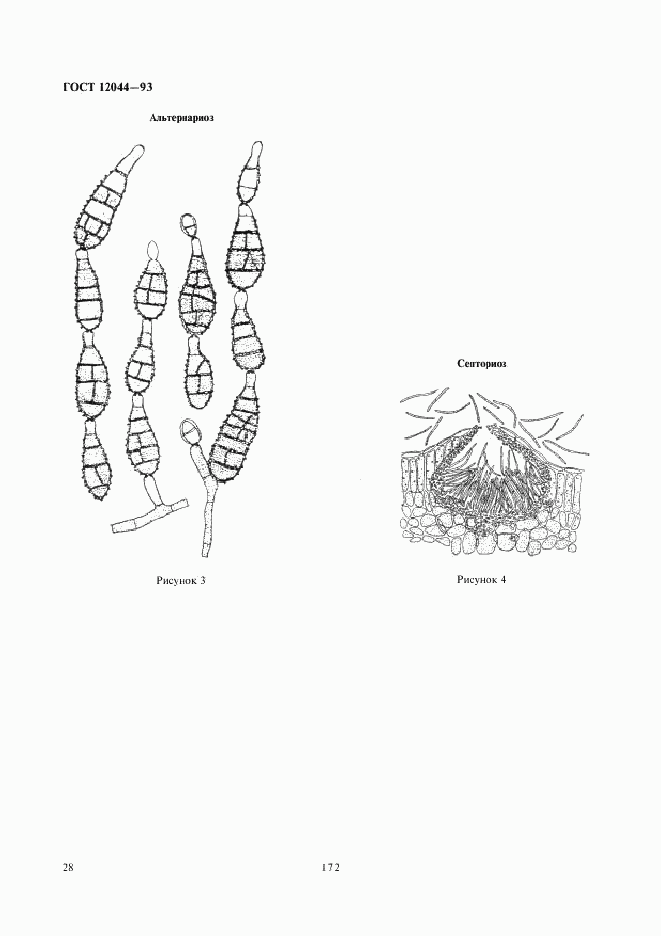 ГОСТ 12044-93, страница 30