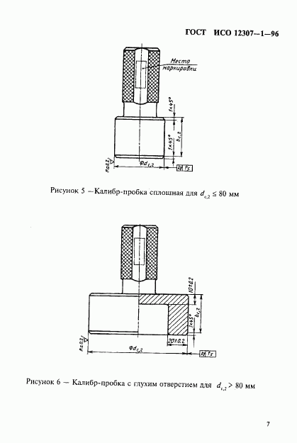ГОСТ ИСО 12307-1-96, страница 10