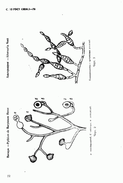 ГОСТ 13056.5-76, страница 10