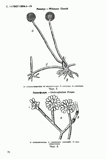 ГОСТ 13056.5-76, страница 14