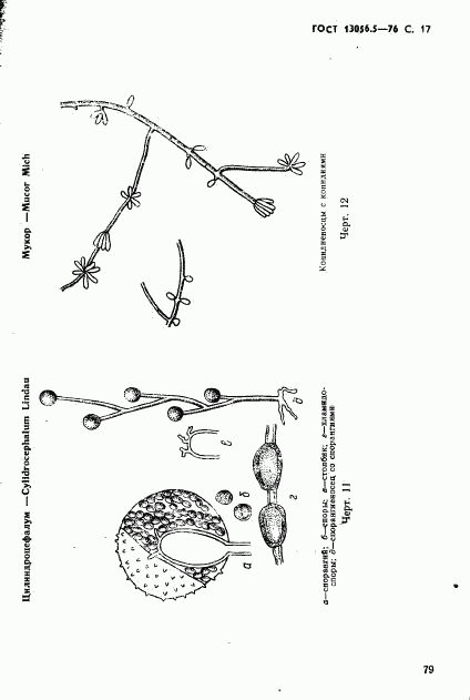 ГОСТ 13056.5-76, страница 17
