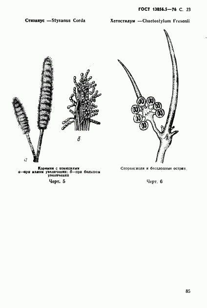 ГОСТ 13056.5-76, страница 23
