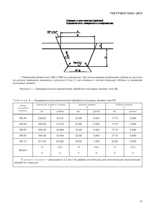 ГОСТ Р ИСО 13533-2013, страница 19