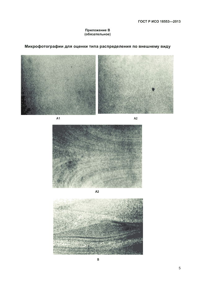 ГОСТ Р ИСО 18553-2013, страница 9