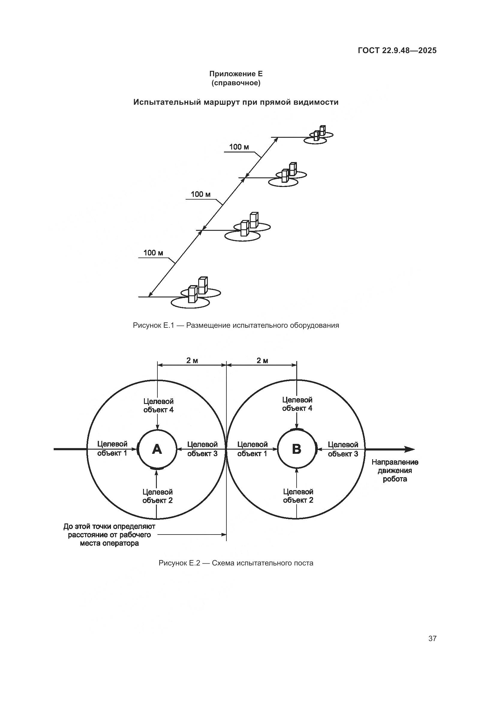 ГОСТ 22.9.48-2025, страница 41
