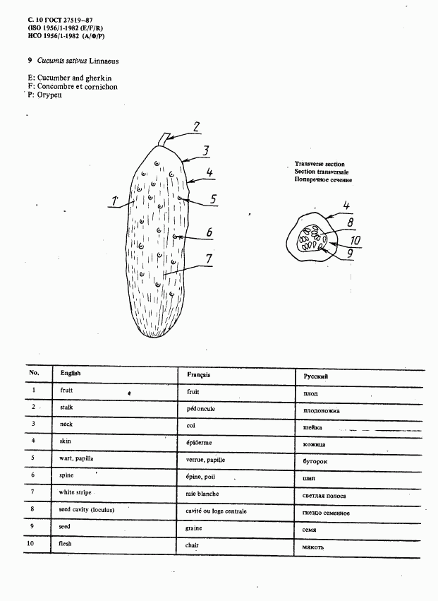 ГОСТ 27519-87, страница 13