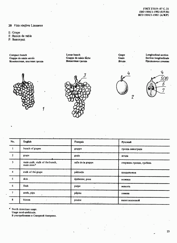 ГОСТ 27519-87, страница 24