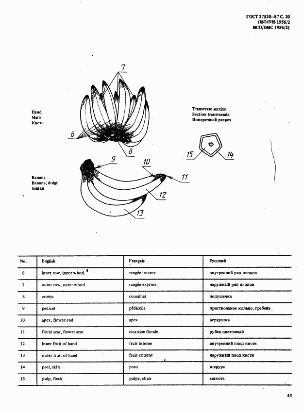 ГОСТ 27520-87, страница 20