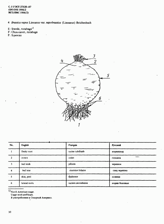 ГОСТ 27520-87, страница 5