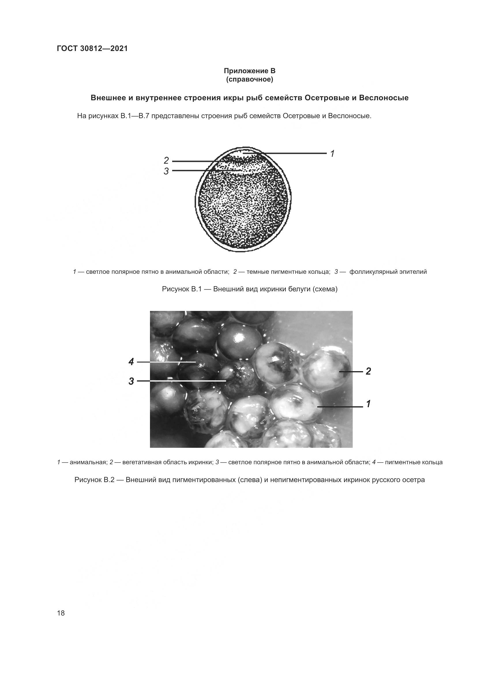 ГОСТ 30812-2021, страница 24