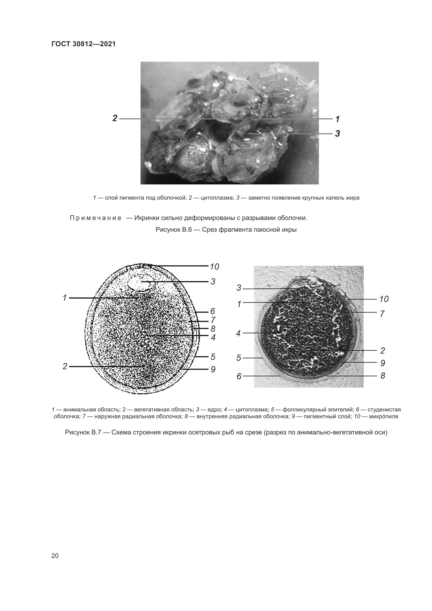 ГОСТ 30812-2021, страница 26