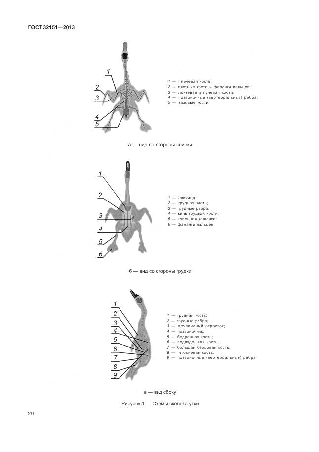 ГОСТ 32151-2013, страница 25