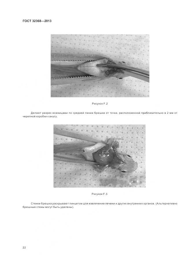 ГОСТ 32368-2013, страница 26