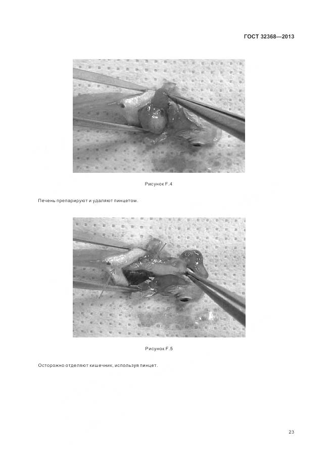 ГОСТ 32368-2013, страница 27