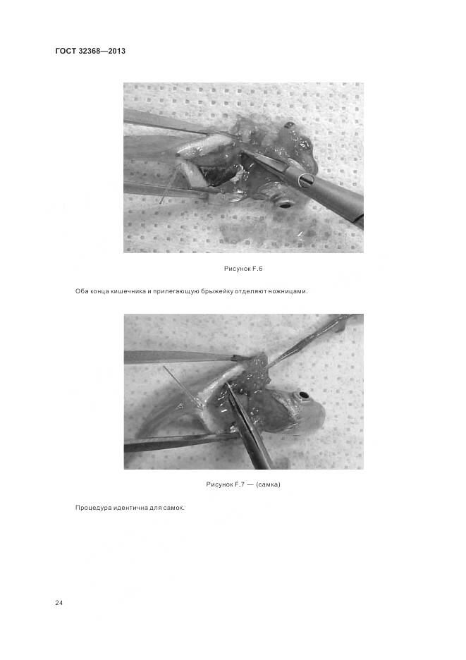 ГОСТ 32368-2013, страница 28