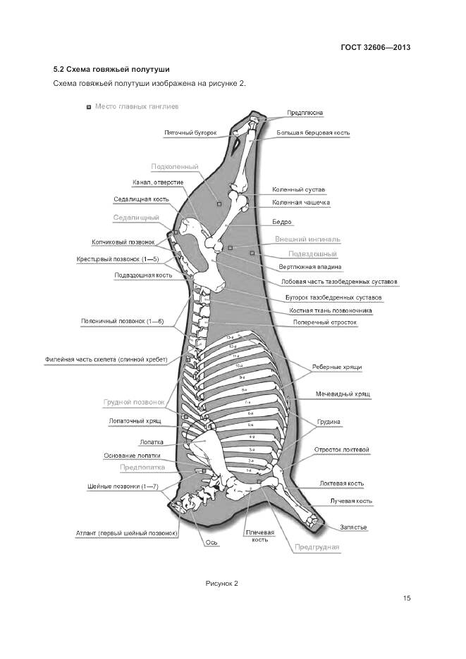 ГОСТ 32606-2013, страница 21