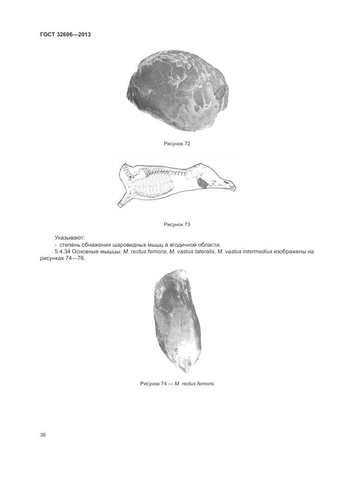 ГОСТ 32606-2013, страница 42
