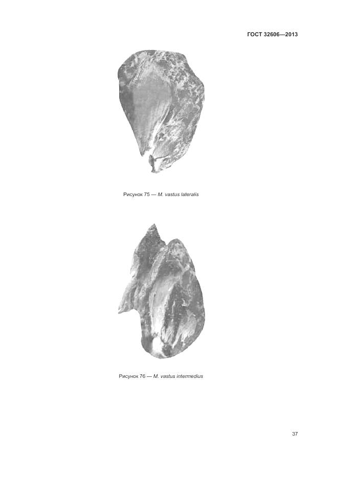 ГОСТ 32606-2013, страница 43