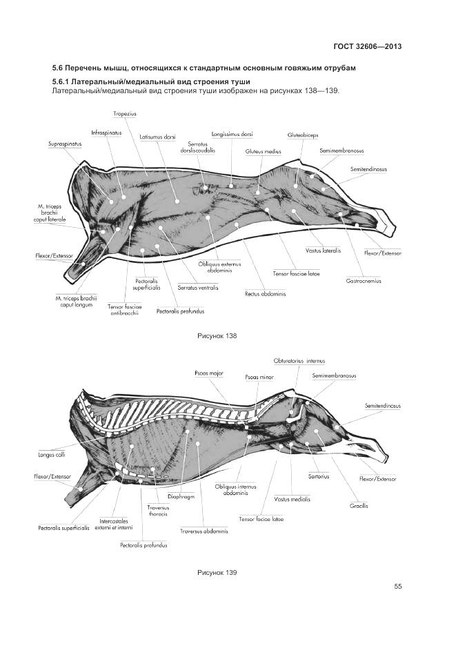 ГОСТ 32606-2013, страница 61