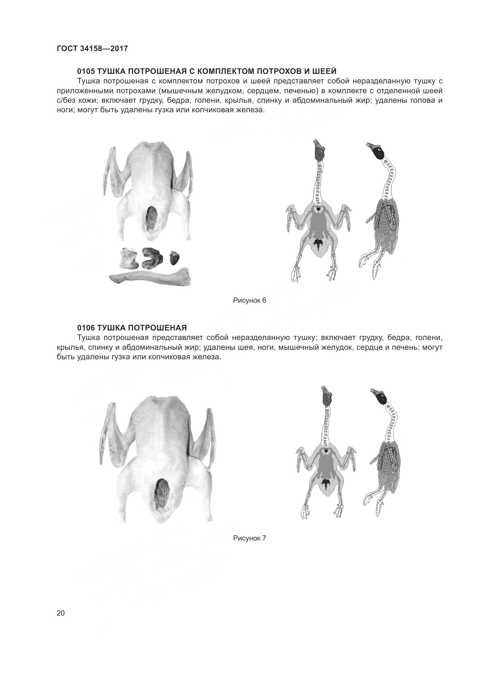 ГОСТ 34158-2017, страница 25