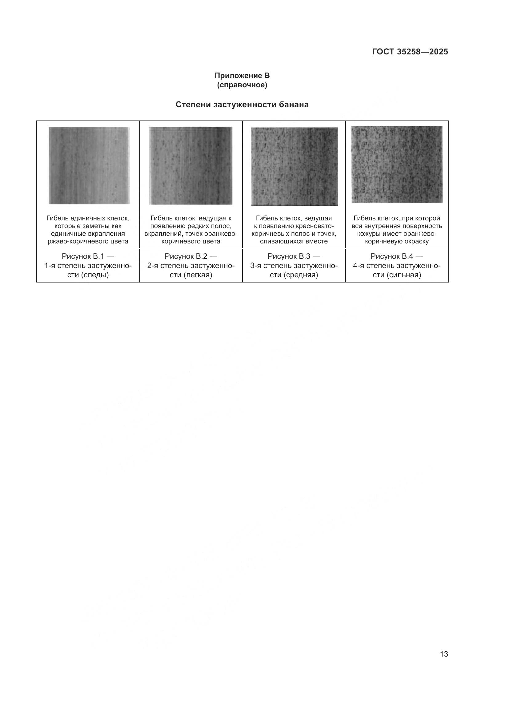 ГОСТ 35258-2025, страница 17