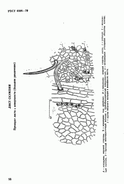 ГОСТ 4564-79, страница 3