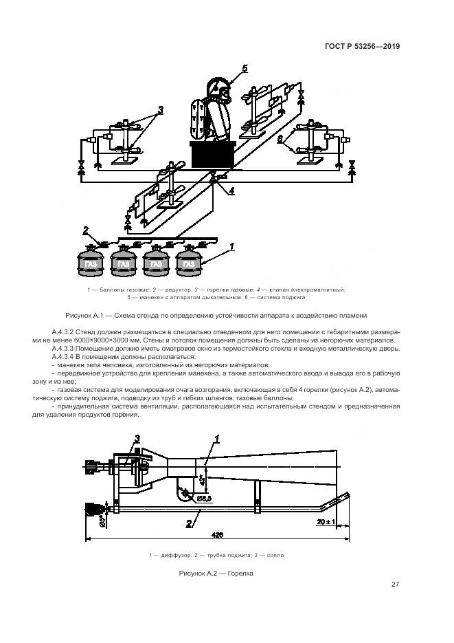ГОСТ Р  53256-2019, страница 31