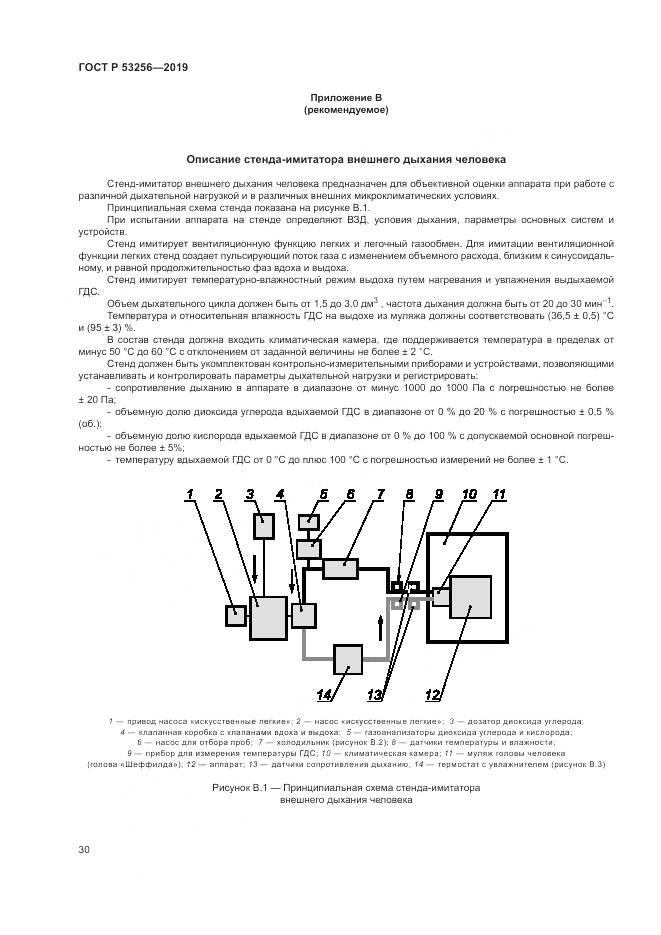 ГОСТ Р  53256-2019, страница 34
