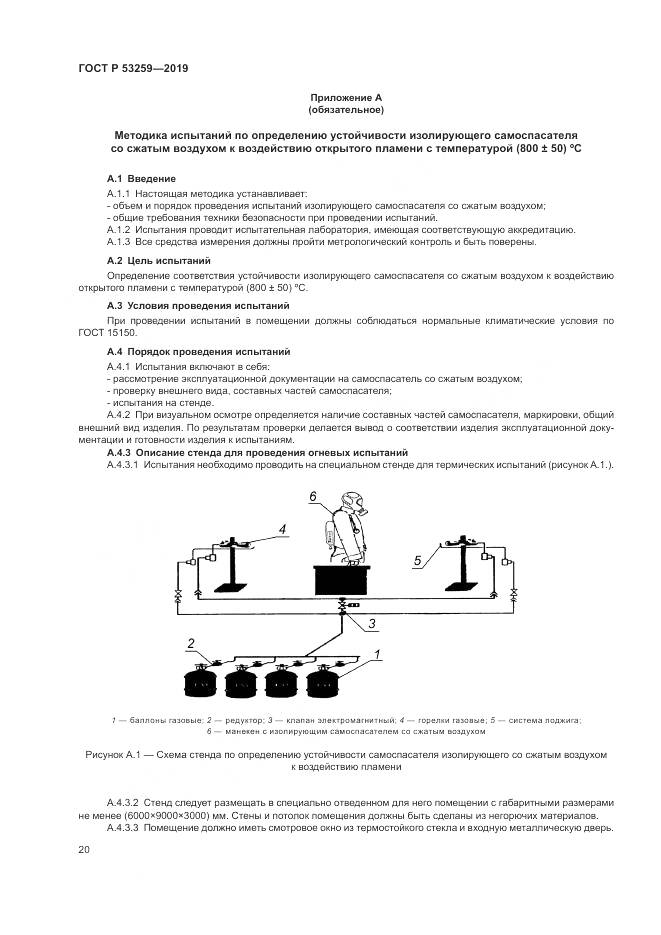 ГОСТ Р  53259-2019, страница 24