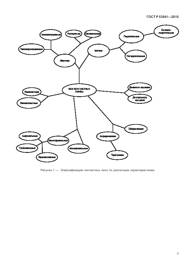 ГОСТ Р 53941-2010, страница 5
