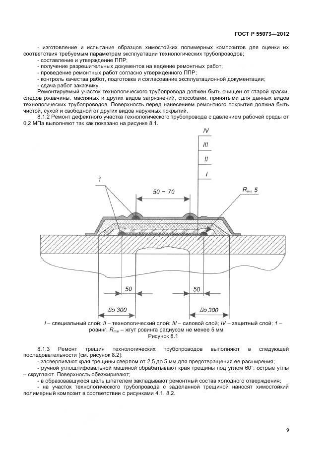 ГОСТ Р 55073-2012, страница 13