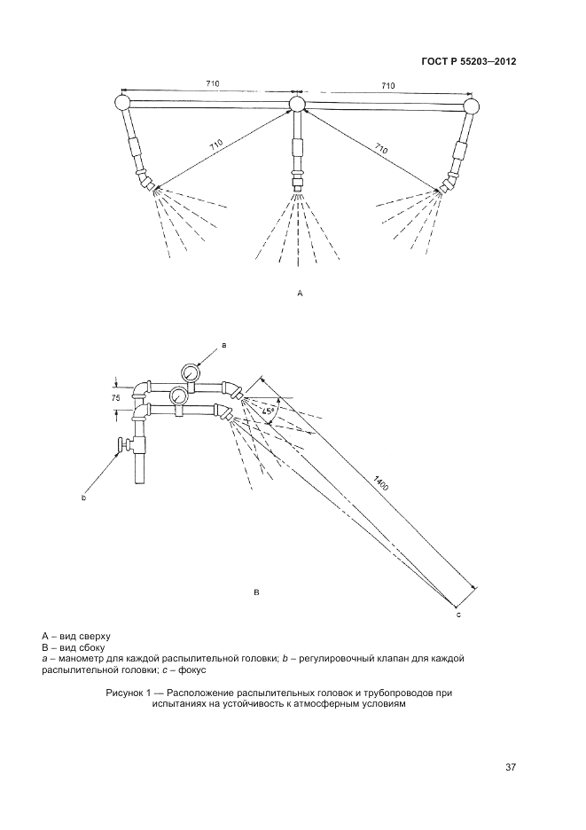 ГОСТ Р 55203-2012, страница 41