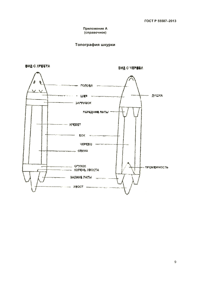 ГОСТ Р 55587-2013, страница 11