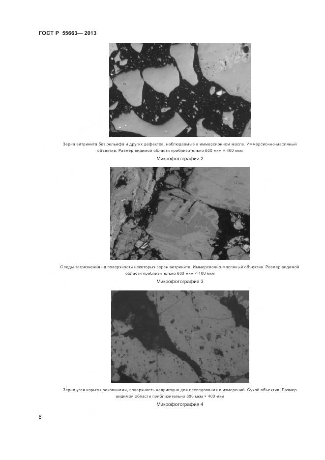 ГОСТ Р 55663-2013, страница 10