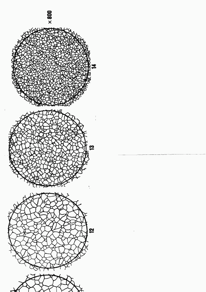 ГОСТ 5639-82, страница 38