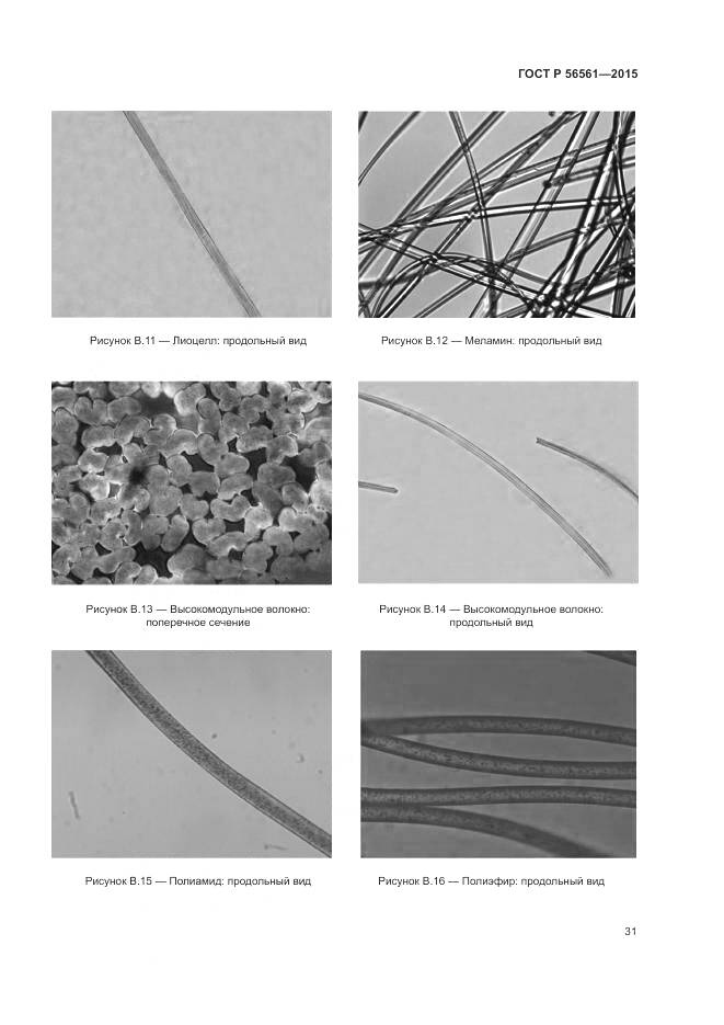 ГОСТ Р 56561-2015, страница 35