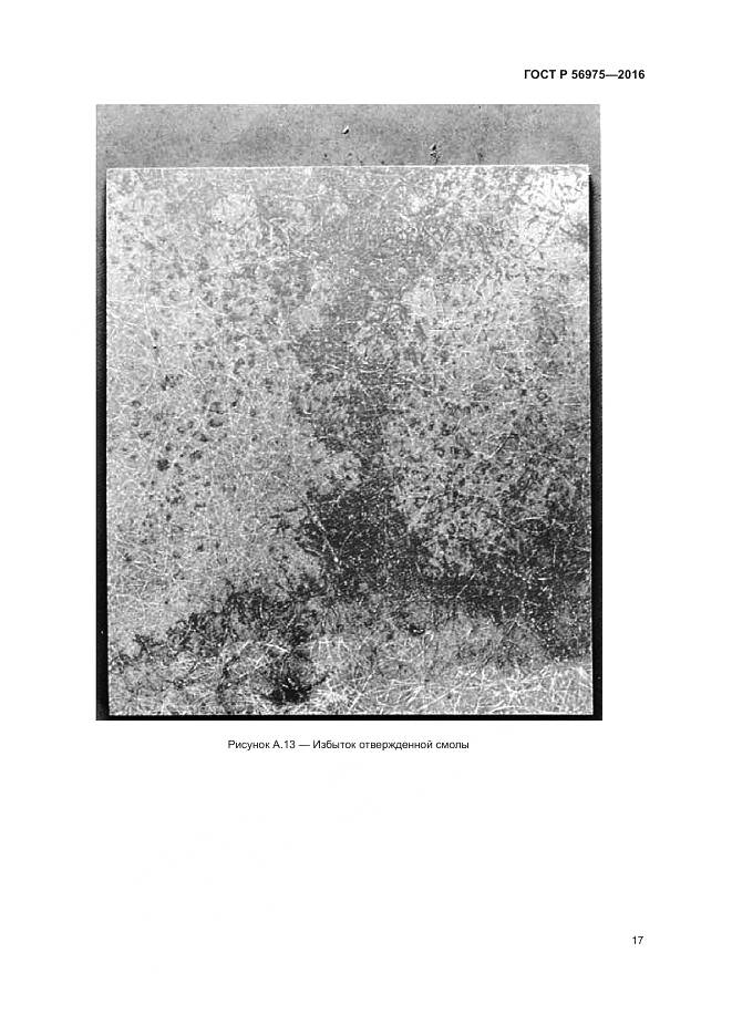 ГОСТ Р 56975-2016, страница 21