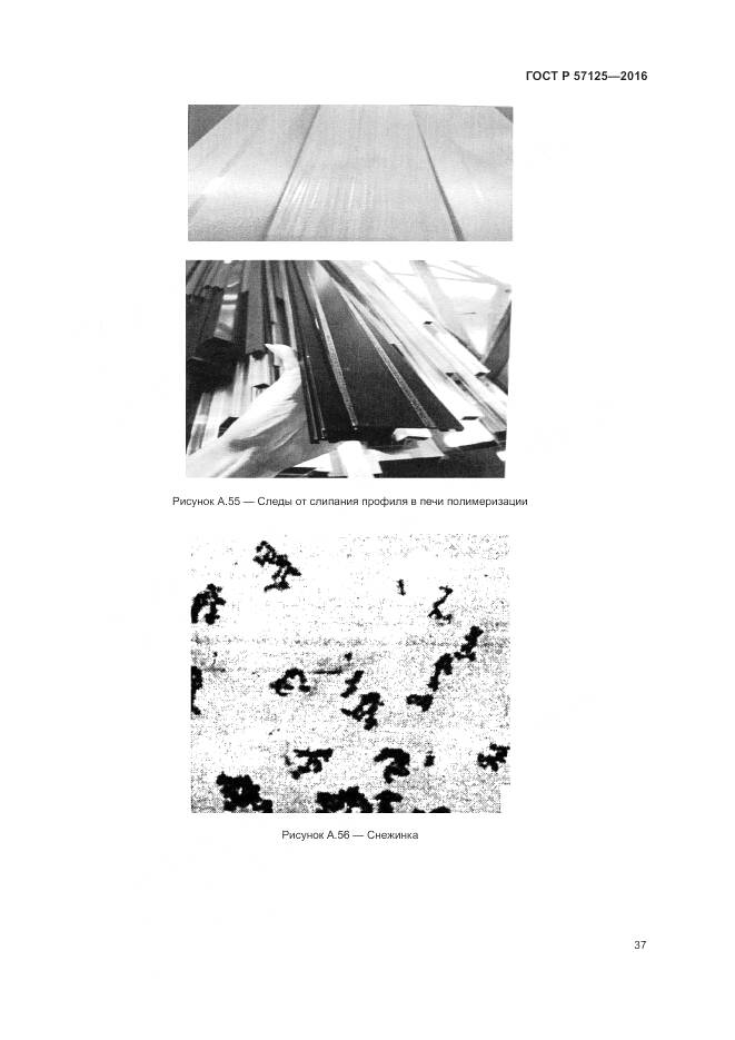 ГОСТ Р 57125-2016, страница 41