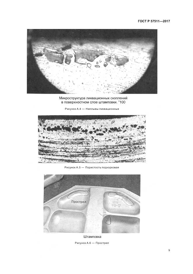 ГОСТ Р 57511-2017, страница 13