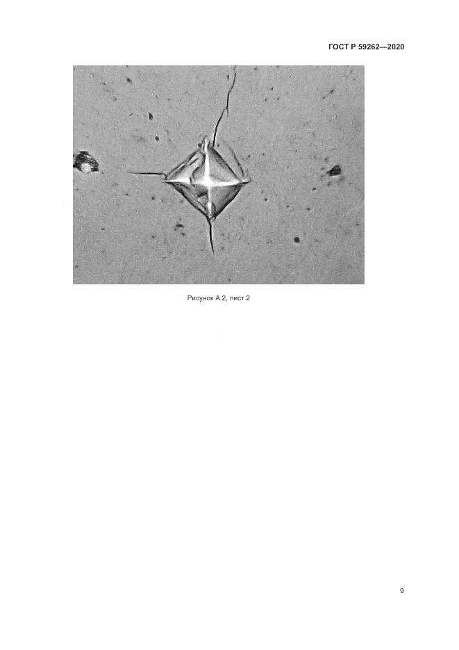 ГОСТ Р 59262-2020, страница 11