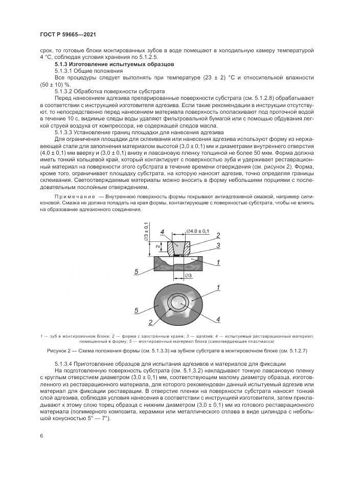 ГОСТ Р  59665-2021, страница 10