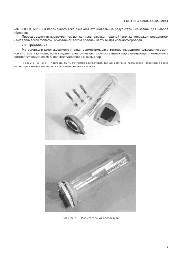 ГОСТ IEC 60034-18-22-2014, страница 13