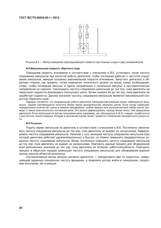 ГОСТ IEC/TS 60034-20-1-2013, страница 30