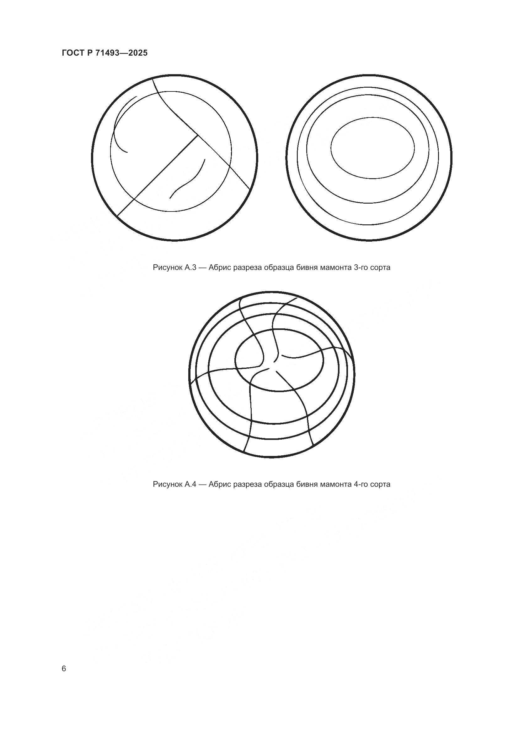 ГОСТ Р 71493-2025, страница 10