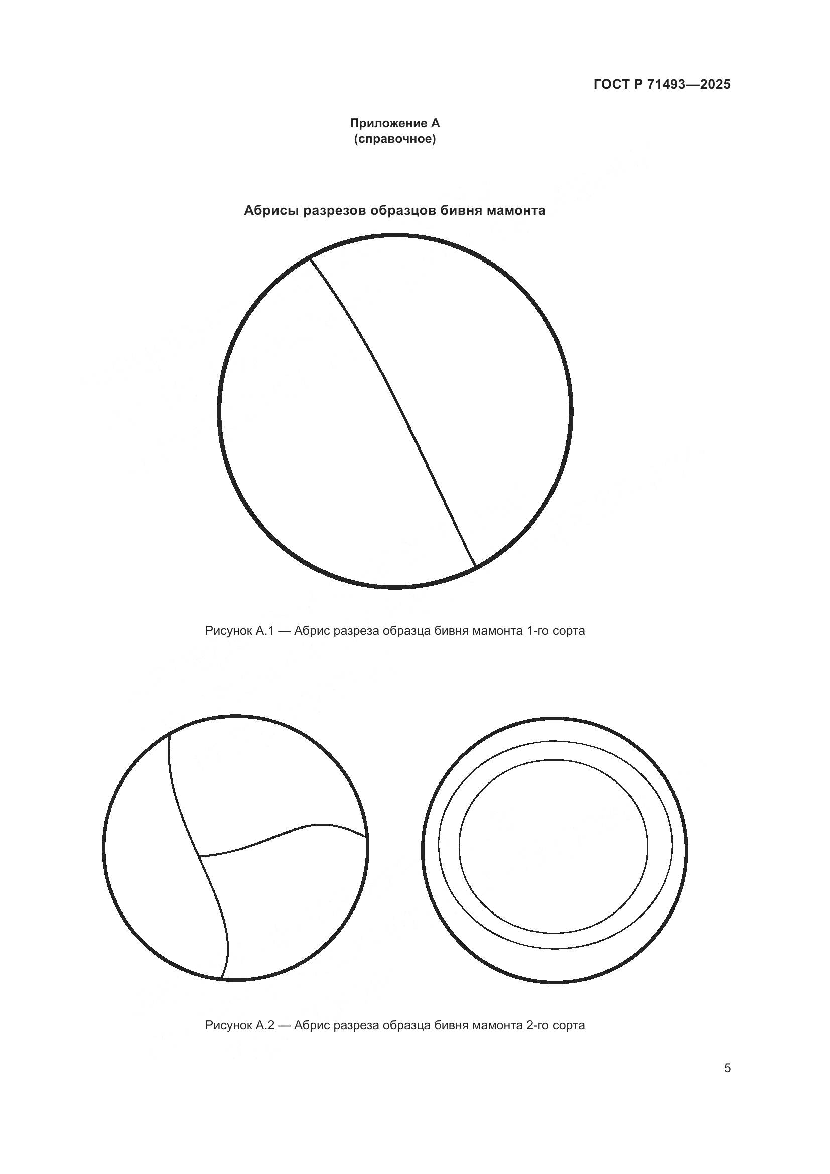 ГОСТ Р 71493-2025, страница 9
