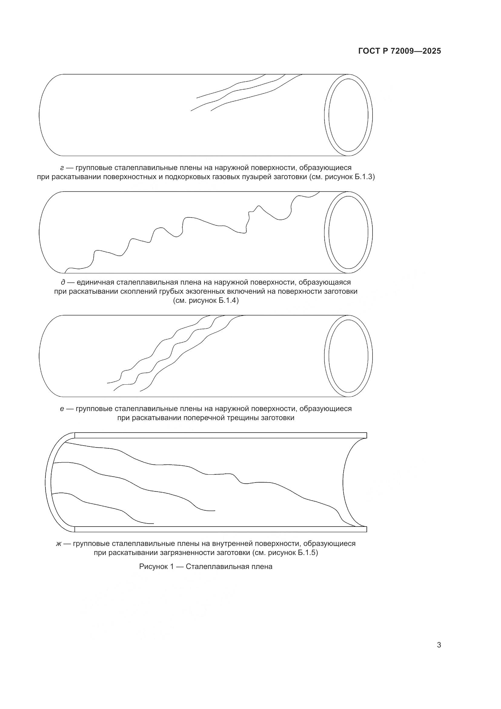 ГОСТ Р 72009-2025, страница 7